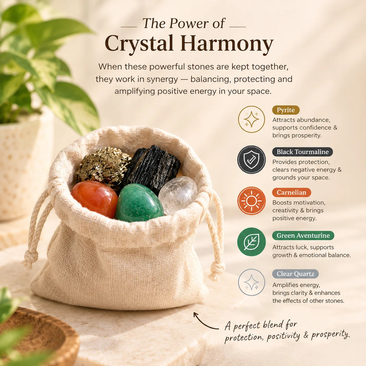 Everyday Protection & Prosperity Crystal Pouch