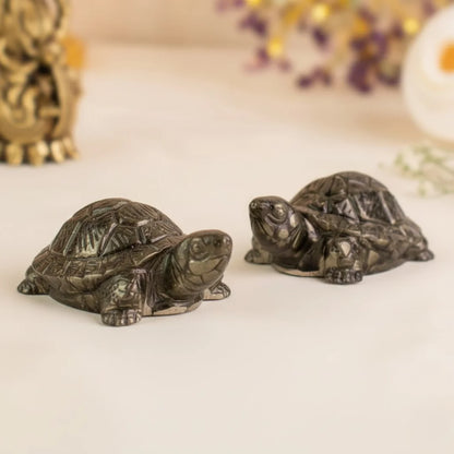 Vastu Pyrite Tortoise (Kachhua)