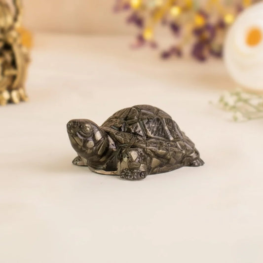Vastu Pyrite Tortoise (Kachhua)