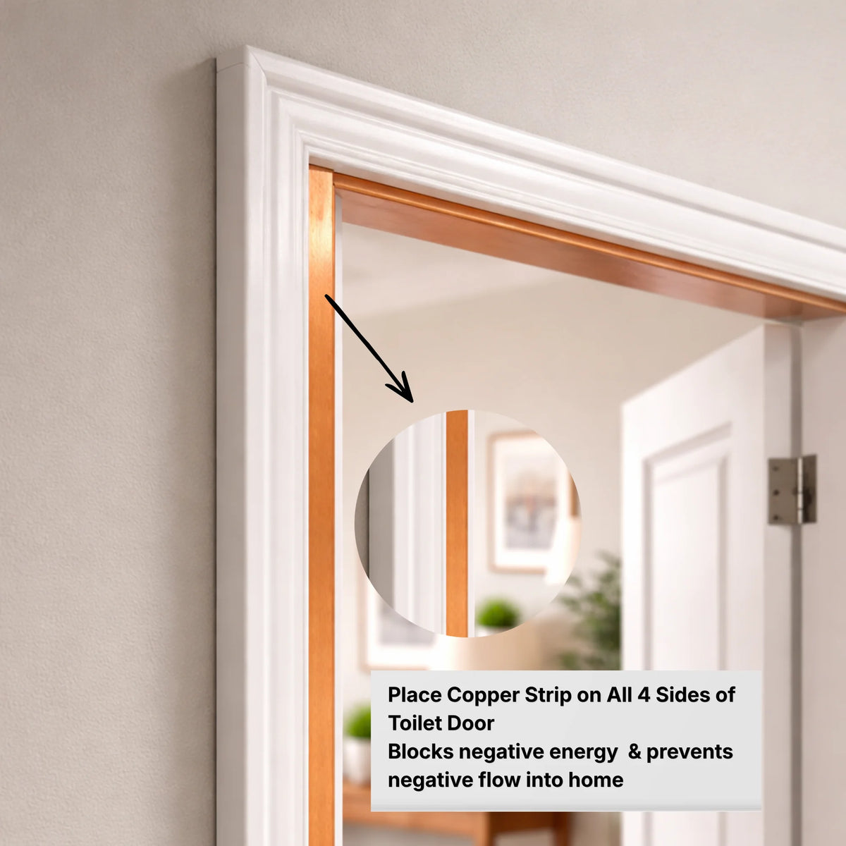 Vastu Copper Strip